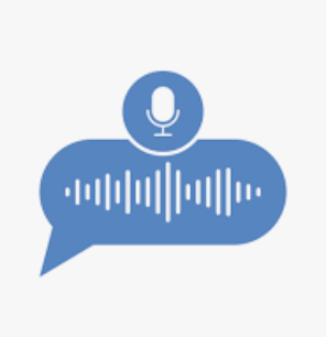Pre-recorded Digital 'Text-to-Speech Audio for Voice Call alarms (per input)